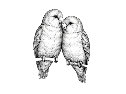 Line drawing of two love birds